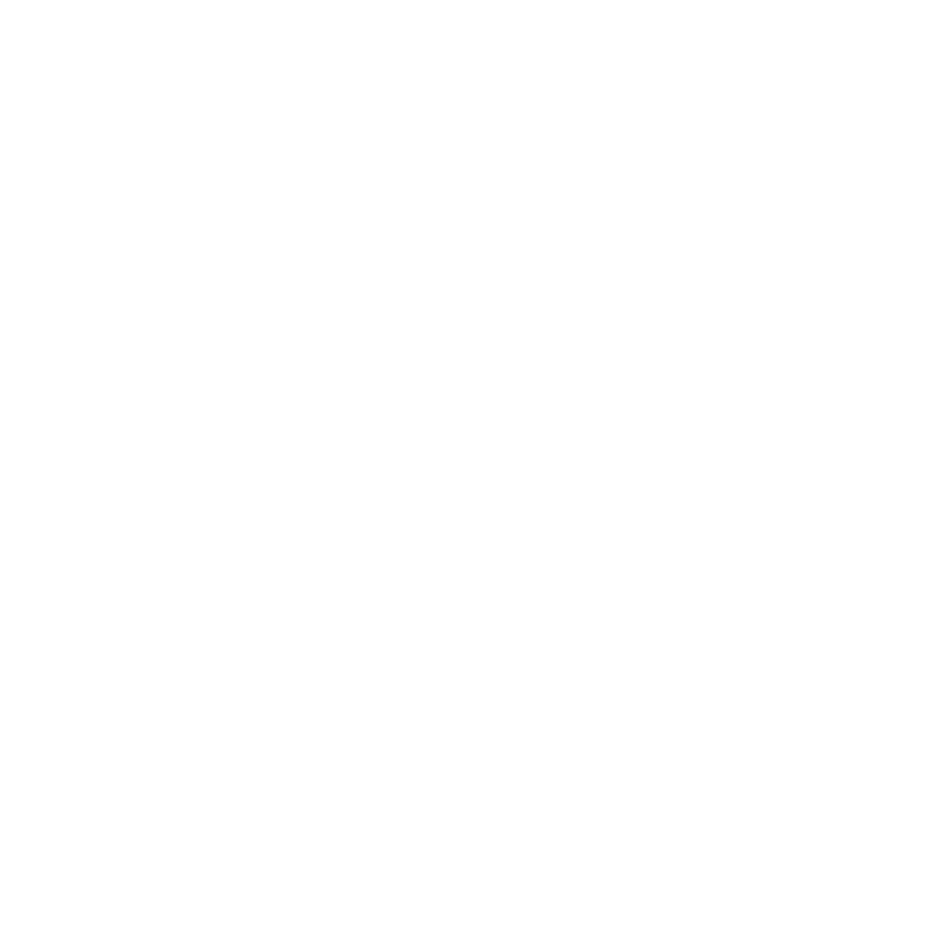 Stepman Logo